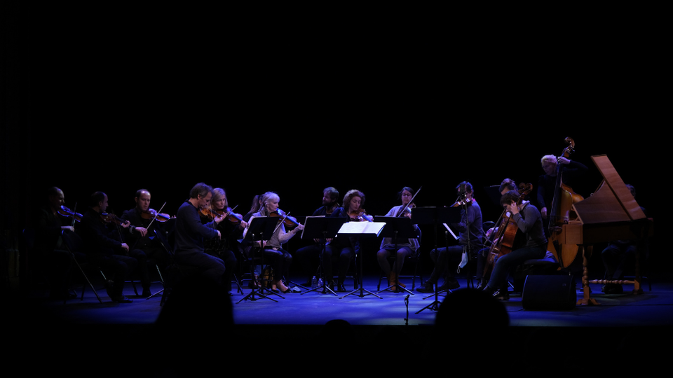 Visuel du spectacle Ensemble Matheus